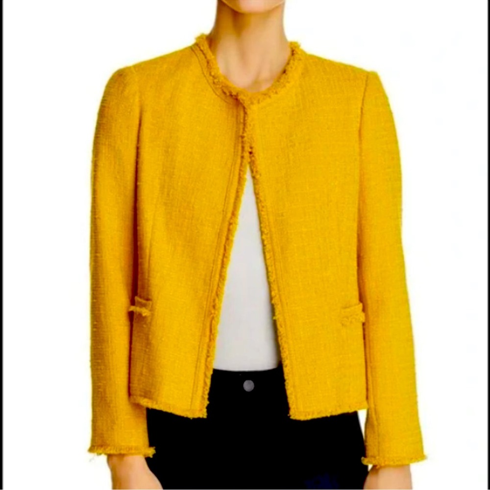 Gerard Darel Blazer jacket